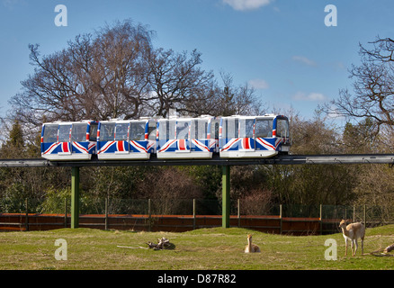 Au Monorail le Zoo de Chester, Chester, Cheshire, Angleterre Banque D'Images