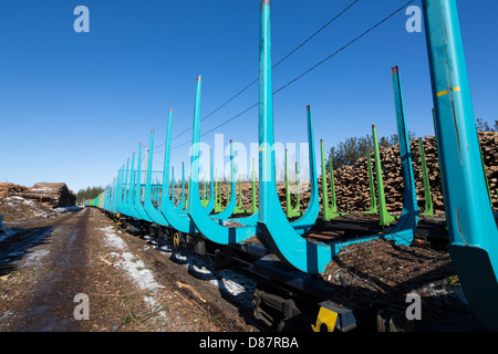 Vue du dépôt ferroviaire pour le transport et le stockage de grumes , des piles de grumes et des wagons de grumes de cargaison vides longs pour le transport de bois et de grumes , Finlande Banque D'Images