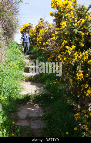 Le sentier du littoral du pays de Galles dans le Nord du Pays de Galles. Vue pittoresque d'une dame marcher le chemin de la côte du Pays de Galles entre Llangefni et Benllech. Banque D'Images