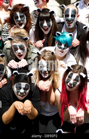 Flashmob Badger dans Smith Square, Londres à l'extérieur de la DEFRA bureaux en opposition à la réforme du blaireau Banque D'Images