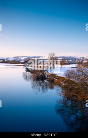 Près de la rivière Towy Dryslwyn Llandeilo Carmarthenshire Galles dans la neige Banque D'Images