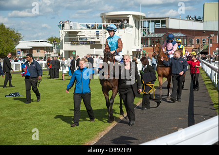 Les chevaux ont défilé en boîtier Paddock Salisbury Racecourse England UK Andrew Balding's horse Grand Piano en premier plan Banque D'Images