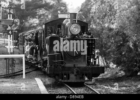 Puffing Billy Steam Train s'arrête à Melbourne, Victoria, Australie Banque D'Images