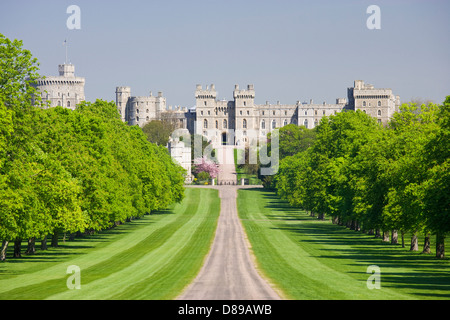 Le Château de Windsor à partir de la Longue Marche, Berkshire, Angleterre, Royaume-Uni.