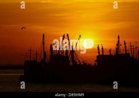 Bateau de pêche au coucher du soleil Banque D'Images
