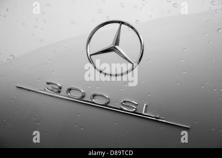 Mercedes Benz 300 SL badge papillon Banque D'Images