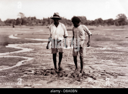 Sur le Pitch Lake, Trinidad, ca 1900 Banque D'Images