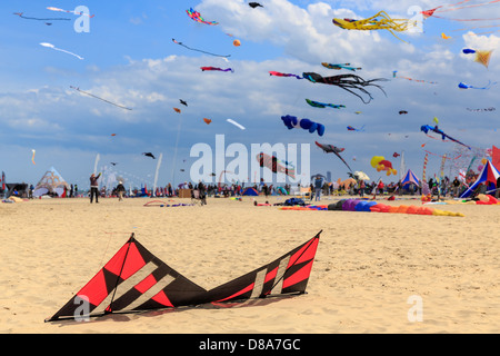 Kites au Festival International de Cerf-volant à Cervia, Emilie Romagne, Italie Banque D'Images