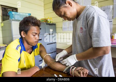 21 mai 2013 - Mae Ku, Tak, Thaïlande - un travailleur de santé birman s'inspire d'un patient par le paludisme à l'Mawker SMRU thaïlandais dans la clinique Mae Ku, la Thaïlande. Les professionnels de la santé voient de plus en plus de preuve du paludisme résistant à l'artémisinine qui sortent de la jungle d'Asie du sud-est. L'artémisinine a été le premier choix pour la lutte contre le paludisme en Asie du sud-est de 20 ans. Depuis quelques années pourtant, les travailleurs de la santé au Cambodge et au Myanmar (Birmanie) voient des signes que le parasite du paludisme est devenu résistant à l'artémisinine. Les scientifiques qui étudient le paludisme sont concernés que l'histoire coul Banque D'Images