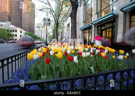 Voir Magnificent Mile de Michigan Avenue Chicago pendant la saison printemps tulipe balade shopping à shoppers printemps été Banque D'Images