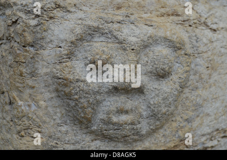 Mur de pierre sculpté, Kuelap forteresse, Chachapoyas, Pérou Banque D'Images