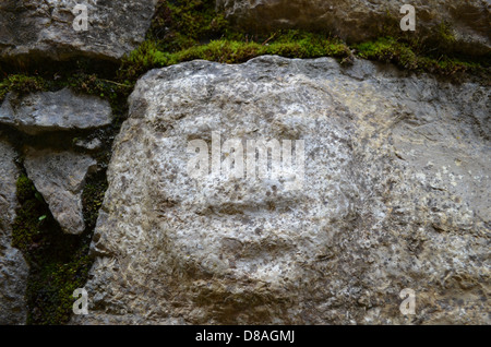 Mur de pierre sculpté, Kuelap forteresse, Chachapoyas, Pérou Banque D'Images