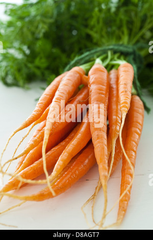 Un tas de produits frais carottes néerlandais avec les fanes vertes toujours attachés, liés ensemble avec string vert. Banque D'Images