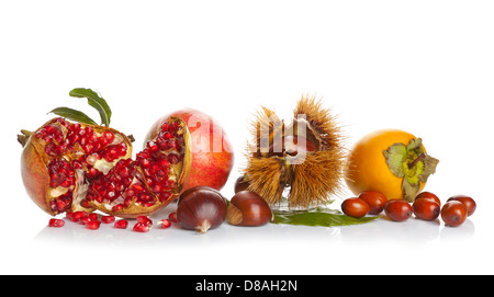 Fruits d'automne sur fond blanc Banque D'Images