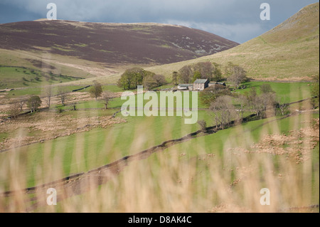 Une vue de la ferme et le bord arrondi couvert d'une grande colline heather Cockup derrière. L'une des collines du nord Wainwrights Banque D'Images