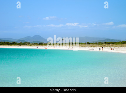 Platja de s'Alga, Espalmador (petite île inhabitée, au nord de Formentera), Iles Baléares, Espagne Banque D'Images