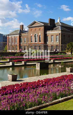 Les jardins du palais de Kensington avec spring Tulips Banque D'Images