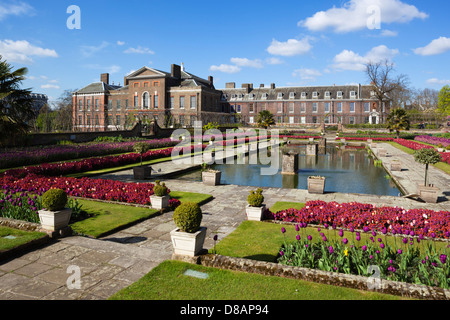 Les jardins du palais de Kensington avec spring Tulips Banque D'Images