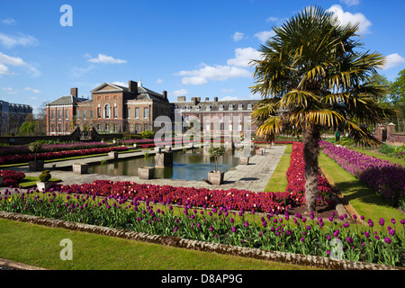 Les jardins du palais de Kensington avec spring Tulips Banque D'Images