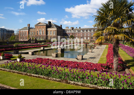 Les jardins du palais de Kensington avec spring Tulips Banque D'Images