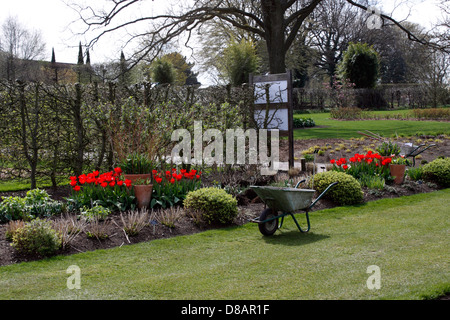 Parterres de printemps À RHS WISLEY. SURREY Banque D'Images