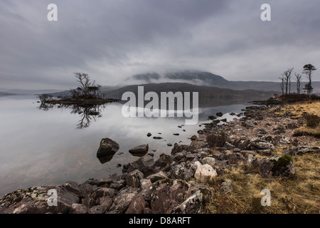 Mist & arbres rabougris sur Loch Assynt à Sutherland, Ecosse Banque D'Images