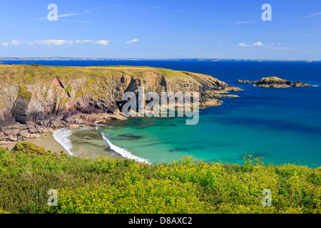 Caerfai Bay St Davids, Pembrokeshire Wales Banque D'Images