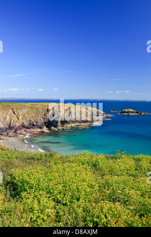 Caerfai Bay St Davids, Pembrokeshire Wales Banque D'Images