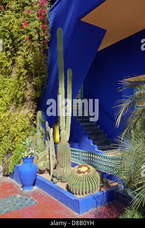 Jardins Majorelle : Composition avec bleu cobalt profond Banque D'Images