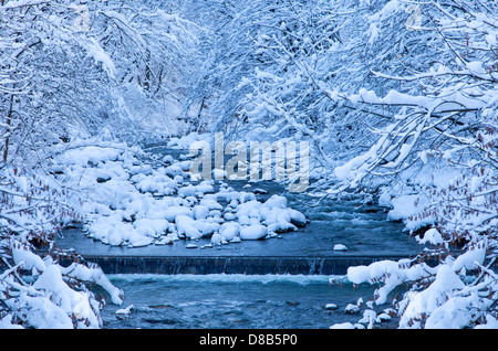 Scène d'hiver dans les Alpes Banque D'Images