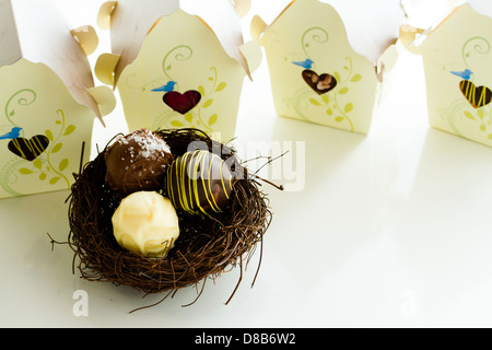 Maisons d'oiseaux doux miniature dragees rempli de truffes gastronomiques. Banque D'Images