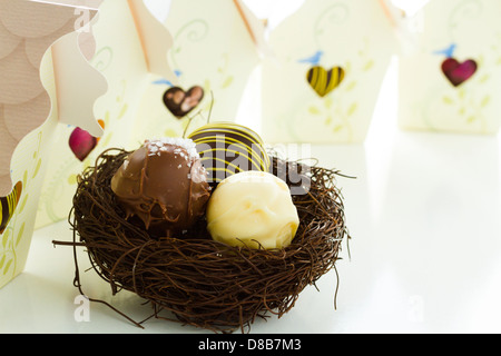 Maisons d'oiseaux doux miniature dragees rempli de truffes gastronomiques. Banque D'Images