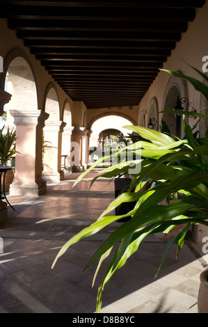 Photographie en couleur de l'hôtel Sheraton Hacienda Del Mar Golf and Spa resort Los Cabos Banque D'Images