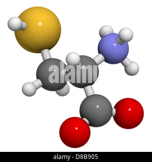 La cystéine (Cys, C) acide aminé, le modèle moléculaire. Les acides aminés sont les blocs de construction de toutes les protéines. Banque D'Images