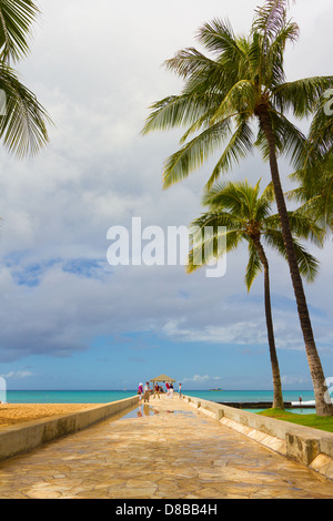 Allée de pierre à l'océan Pacifique avec des palmiers au-dessus de lui à la plage de Waikiki à Hawaï Banque D'Images