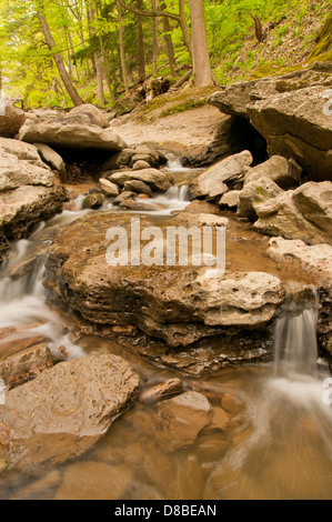 L'eau qui coule sur les rochers, formant une petite cascade Banque D'Images