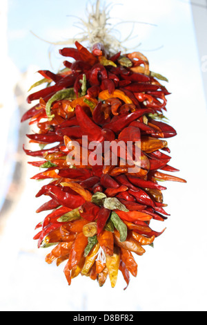 Un ristra traditionnel de piments piments est accroché de façon décorative. Les poivrons rouges vibrants sont attachés ensemble dans une ficelle, souvent utilisée pour la décoration ou dans le cadre de la culture de la cuisine du sud-ouest. Banque D'Images
