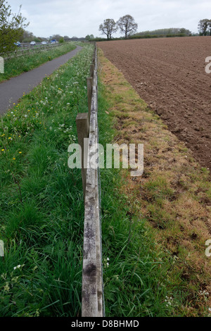 L'utilisation intensive des terres avec des champs pulvérisés jusqu'à la clôture avec le glyphosate Banque D'Images