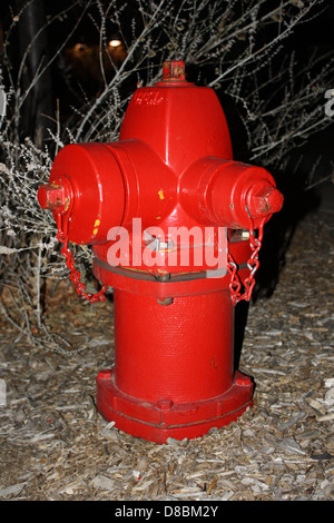 Une bouche d'incendie rouge se dresse bien en vue sur le côté d'une rue. Il s'agit d'une infrastructure cruciale pour la sécurité incendie, conçue pour fournir une source d'eau aux services d'incendie en cas d'urgence. Banque D'Images