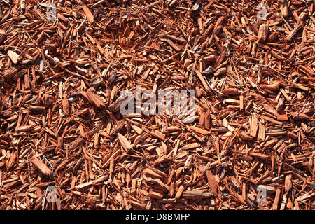 Pile de copeaux de bois rouge, couramment utilisés pour l'aménagement paysager et le paillage. Les copeaux sont de couleur vive et peuvent aider à retenir l'humidité du sol et à supprimer la croissance des mauvaises herbes. Banque D'Images