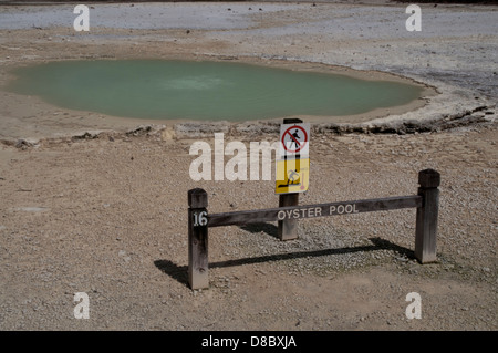 Le Wai-O-Tapu zone thermique est une région géothermique très active avec de nombreux cratères effondrés, des piscines chaudes et froides en Nouvelle Zélande Banque D'Images