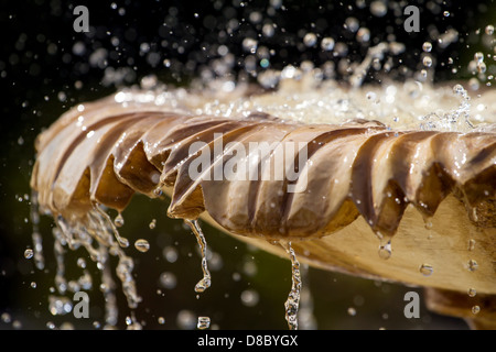 Close-up d'une vieille fontaine en pierre avec des gouttes d'eau et l'arrière-plan flou Banque D'Images