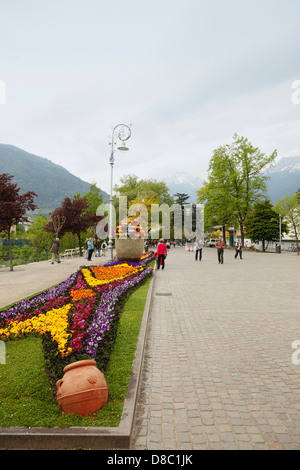 Lit de fleur dans le centre de Merano, le Tyrol du Sud, Italie Banque D'Images