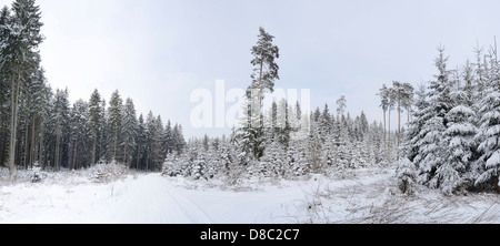 Paysage d'hiver, Haut-Palatinat, Bavaria, Germany, Europe Banque D'Images