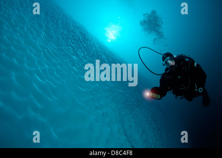 Sous l'eau d'Iceberg avec diver en face d'elle, près de Tasiilaq, au Groenland, underwater Banque D'Images