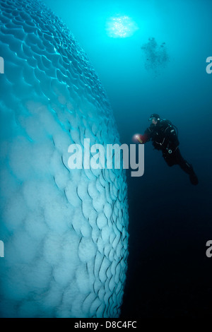 Sous l'eau d'Iceberg avec diver en face d'elle, près de Tasiilaq, au Groenland, underwater Banque D'Images