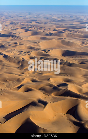 Sand dunes in desert Banque D'Images