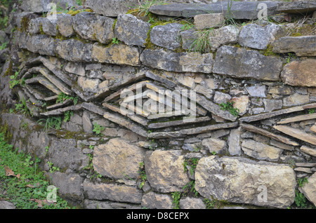 Motif en forme de diamant gravé dans la pierre des murs à la Kuelap site archéologique près de Chachapoyas, Pérou Banque D'Images