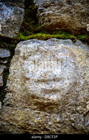 Mur de pierre sculpté, Kuelap forteresse, Chachapoyas, Pérou Banque D'Images