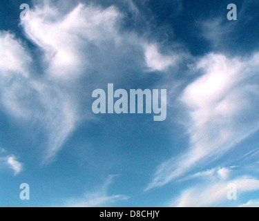 Une image de haute qualité des nuages dans le ciel, avec diverses formations nuageuses dans un ciel bleu. Cette image met en valeur la texture douce et moelleuse des nuages et leurs formes variées. Banque D'Images